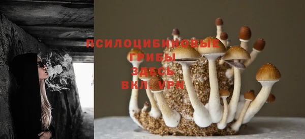 ешки Няндома